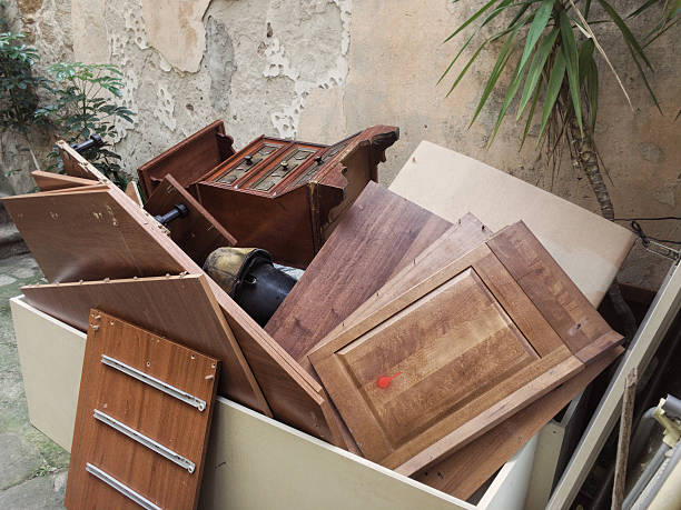 Best Yard Cleanup Services  in Madison, IN
